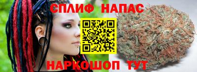 СК Заводоуковск