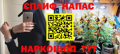 СК Заводоуковск