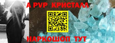 гашик Донской