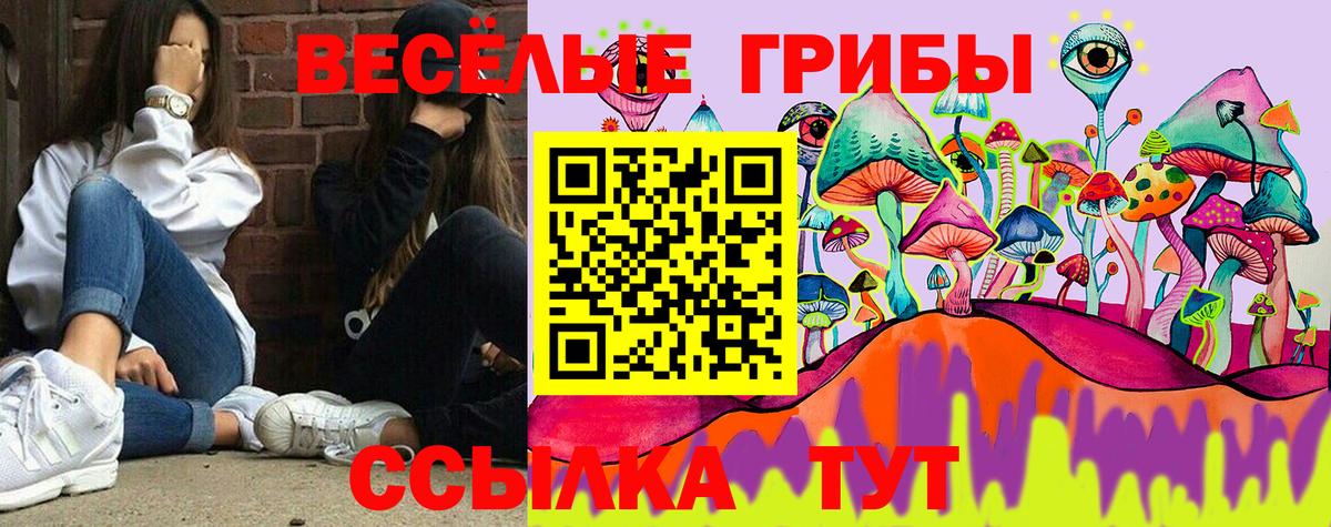 цены   Псилоцибиновые грибы GOLDEN TEACHER  Вход с VPN  Жигулёвск 