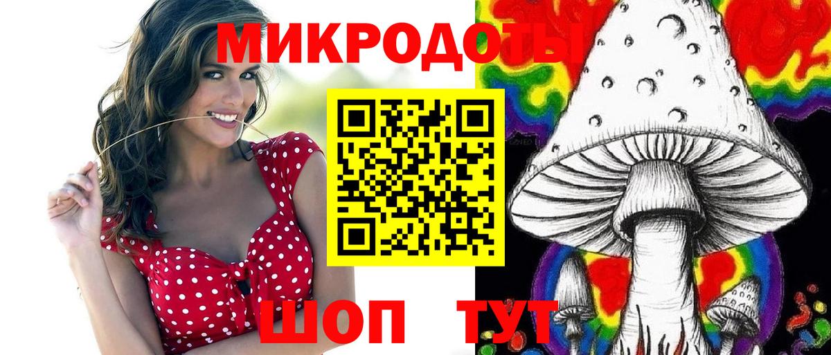 Псилоцибиновые грибы мицелий Жигулёвск